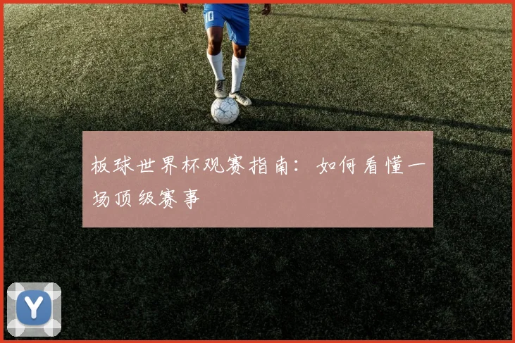 板球世界杯观赛指南:如何看懂一场顶级赛事