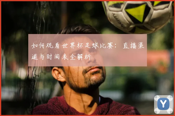 如何观看世界杯足球比赛：直播渠道与时间表全解析